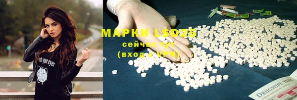 прущие крисы Белокуриха
